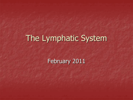 The Lymphatic System 2011