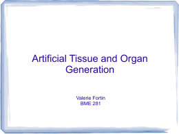 Artificial Tissue and Organ Generation Valerie Fortin BME 281