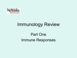 Immunology Review