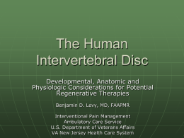The Human Intervertebral Disc
