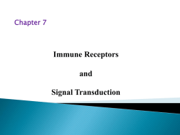 antigen receptors and accessory molecules of t lymphocytes