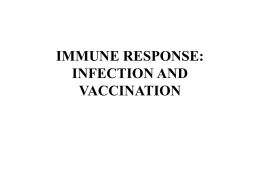 immune response vaccination