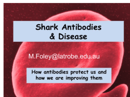 Why Shark Antibodies?