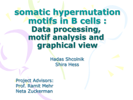 somatic hypermutation motifs in B cells