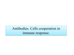 09 Antibodies