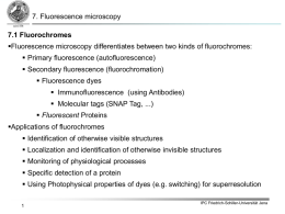 7.1 Secondary fluorescence (fluorochromation) - Friedrich