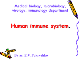 Human immune system
