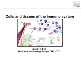 Cells and tissues of the immune system