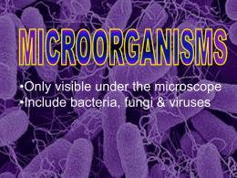 micro-organisms & disease