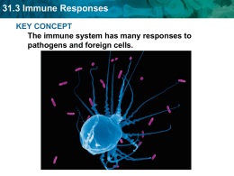 31.3 Immune Responses
