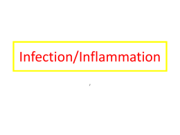 Infection/Inflammation