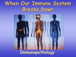 Thymus gland Bone marrow Secondary organs of immune system