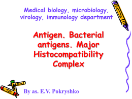 ANTIGENS AND ANTIBODIES. STRUCTURE OF IMMUNE SYSTEM