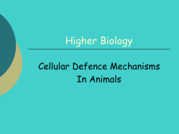 cell-defence-animals