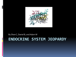 Endocrine System Jeopardy - local.brookings.k12.sd.us