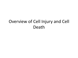 Overview of Cell Injury and Cell Death