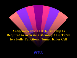 CD8+ Memory T Cells Need Antigen-specific CD4+T