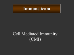 4. immune_team_