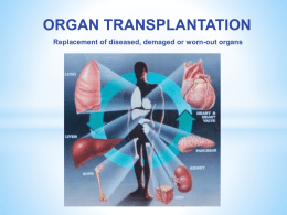 12th seminar 2013 Transplantations