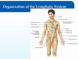 Lymphatic & Immune Sys