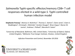 S. Typhi-specific CD8+ T EM responses