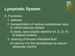 Lymph System