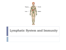 Lymphatic System and Immunity