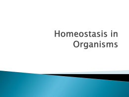 Homeostasis in Organismsx