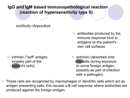 IgG and IgM based immunopathological reaction (reaction of