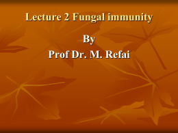 fungal_immunity_mod