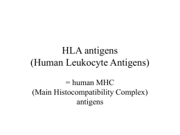 HLA-II antigens