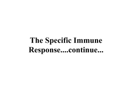 The Specific Immune Response....continue