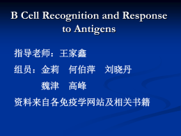 B Cell Recognition and Response to Antigens