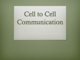 Cell to Cell Communication