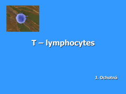 T – lymphocytes J. Ochotná