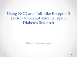 Using NOD and Toll-Like Receptor 3 (TLR3) Knockout Mice