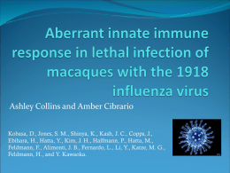 Aberrant innate immune response in lethal infection of