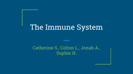 The Immune System - Mercer Island School District