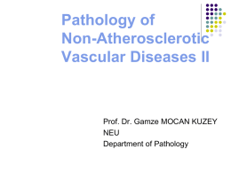 Pathology of Non-Atherosclerotic Vascular Diseases II