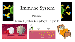 Immune System - Mercer Island School District