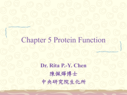 Chapter 5 Protein Function