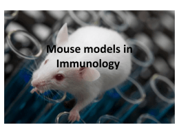 Mouse models
