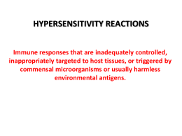 19-20_Hypersensitivity