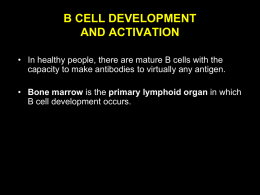 B cells - Altervista