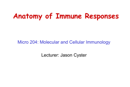 Powerpoint - UCSF Immunology Program