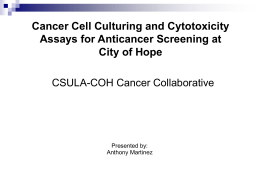 Cancer Cell Culturing - California State University, Los Angeles