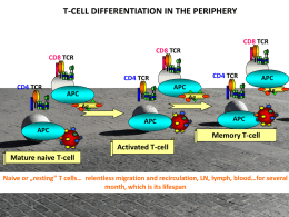 T cells…