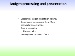 17_MHC antigen processing and presentation(EN)GPv2.32x