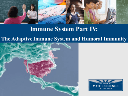 (4) Adaptive Immune System and the Humoral Immune Response