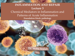 L3-Inflammation 2012x